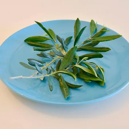 בית נופש Two-bedroom With Sea View In